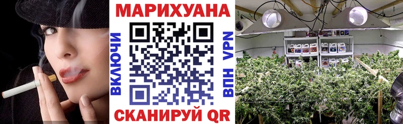 Купить наркоту Приозерск Гашиш  MDMA  МЕФ  Канабис 