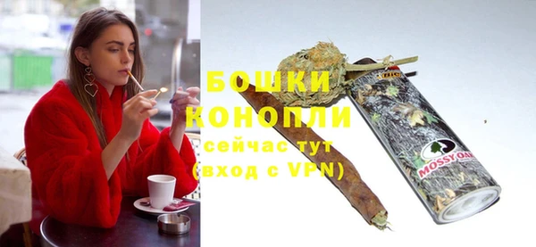 гашик Гусев