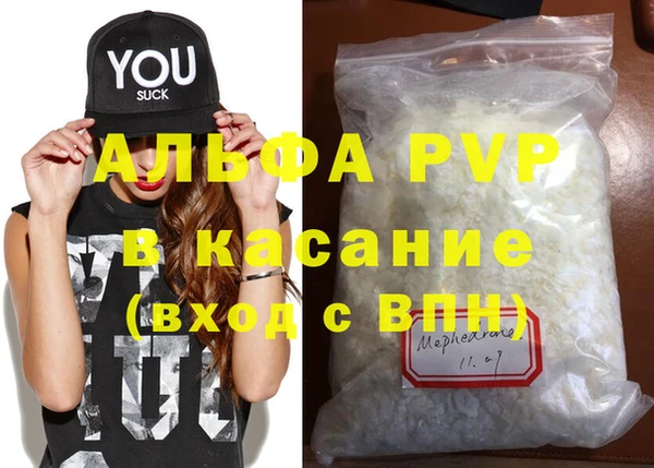 гашик Гусев