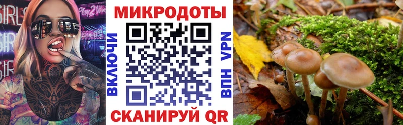 Псилоцибиновые грибы мухоморы Приозерск
