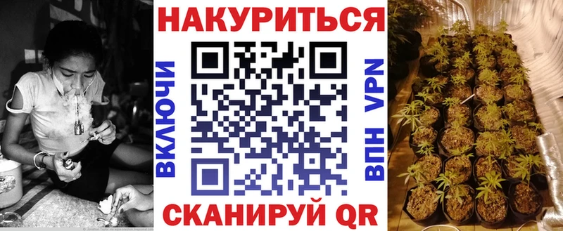 Марихуана THC 21%  где купить наркоту  ссылка на мегу tor  Приозерск 